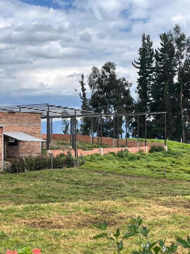 whatsapp image 2026 01 14 at 1.59.17 pm (2)